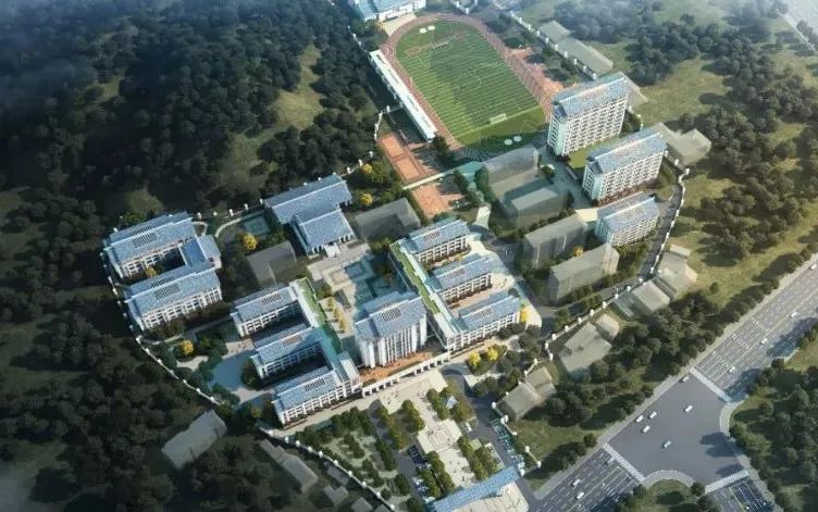 游艇会·yth206(中国)最新官方网站